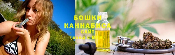 дживик Абаза