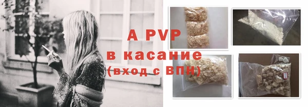 дживик Абаза