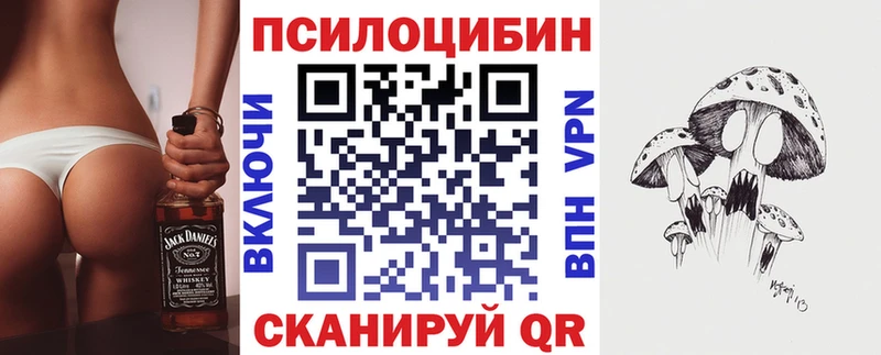 Псилоцибиновые грибы Psilocybe  Агрыз 